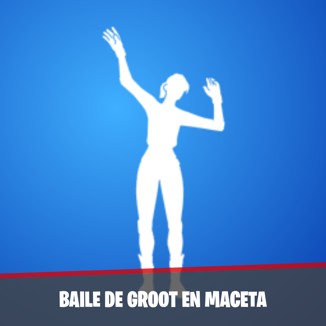 Baile de Groot en maceta